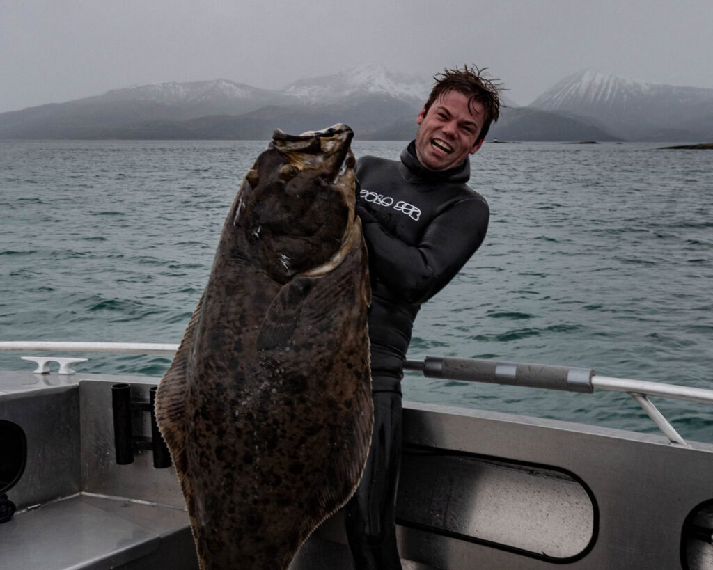 Spearfishing Giant Atlantic Halibut